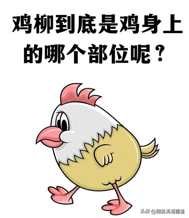为了免费换电池 M1 Max用户硬生生把MacBook循环了543次!电池健康度却纹丝不动