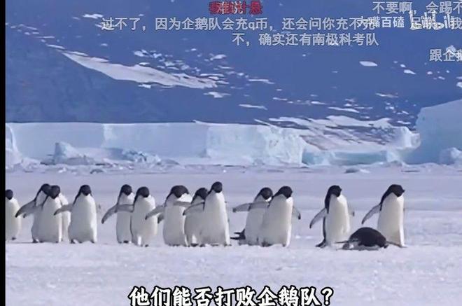 官媒:突尼斯主帅拉穆齐下课,原沙特主帅勒纳尔带队踢世界杯