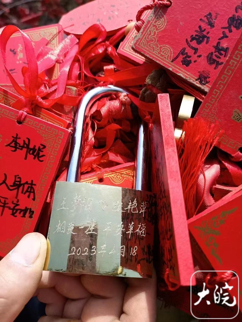 巅峰对决与锈迹盾牌:巴西1